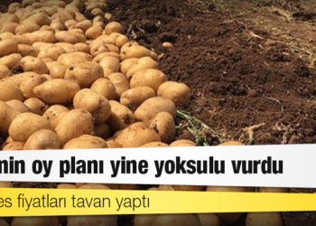 AKP’nin oy planı yine yoksulu vurdu: Patates fiyatları tavan yaptı