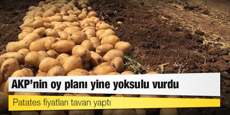 AKP’nin oy planı yine yoksulu vurdu: Patates fiyatları tavan yaptı