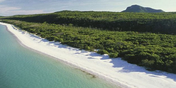 Avustralya'da turizm sektöründekilere 10 bin TL ikramiyeyle çalışma fırsatı