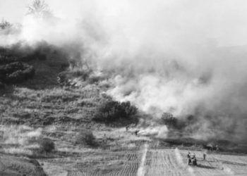 Aydın’da yaklaşık 20 hektar makilik alan yandı