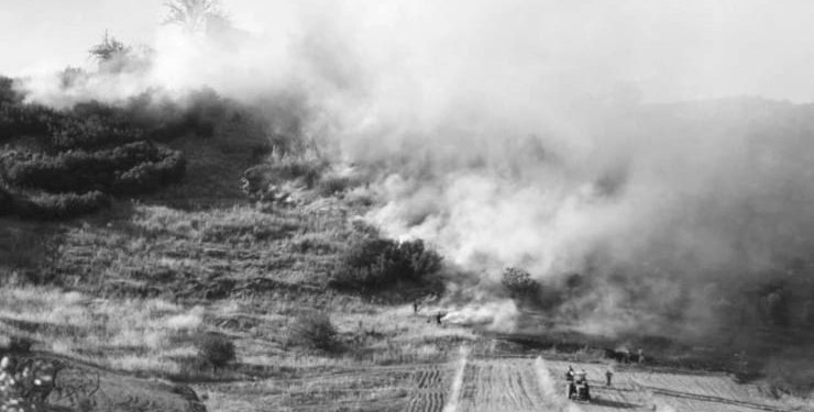 Aydın’da yaklaşık 20 hektar makilik alan yandı