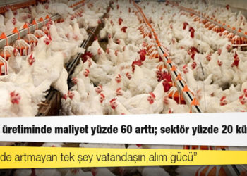 Beyaz et üretiminde maliyet yüzde 60 arttı; sektör yüzde 20 küçüldü