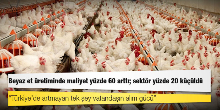 Beyaz et üretiminde maliyet yüzde 60 arttı; sektör yüzde 20 küçüldü