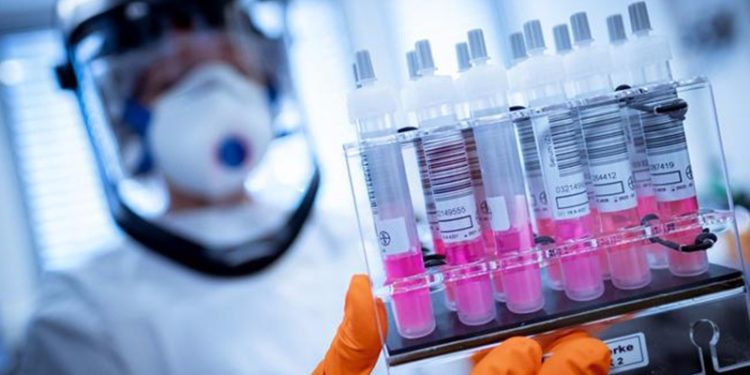 Bilim insanları 'köpeklerden insanlara geçen' yeni bir Coronavirus türü keşfetti