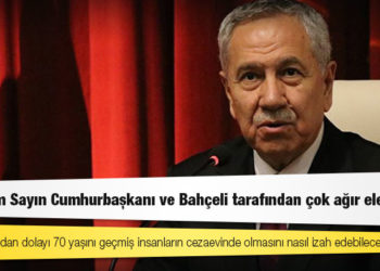 Bülent Arınç: Lohusa kadınların tutuklandığı Türkiye'de, "şanlı yargımız" bu ağır suçların sahipleri hakkında gerekeni yapacak herhalde