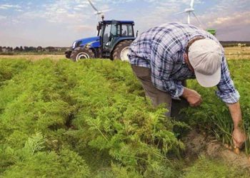 CHP Sözcüsü: Her çiftçi ailesinin bu hükûmetten 98 bin lira kanuni alacağı var