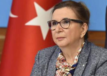 CHP görevden alınan Ruhsar Pekcan'ın Ticaret Bakanlığı'na dezenfektan satışı için araştırma komisyonu kurulmasını talep etti