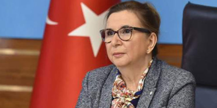 CHP görevden alınan Ruhsar Pekcan'ın Ticaret Bakanlığı'na dezenfektan satışı için araştırma komisyonu kurulmasını talep etti