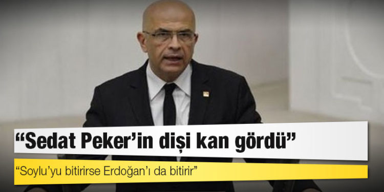 CHP'li Berberoğlu: Sedat Peker’in dişi kan gördü, Soylu’yu bitirirse Erdoğan’ı da bitirir