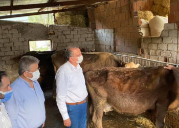 CHP'li Girgin: Sütler elde kaldı, çiftçi perişan; Tarım Bakanı dökülen sütleri görmüyor mu?