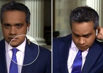 CNN muhabirinin böcek tepkisi viral oldu