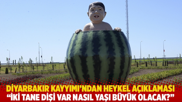 Diyarbakır Kayyımı'ndan heykel açıklaması: İki tane dişi var nasıl yaşı büyük olacak?