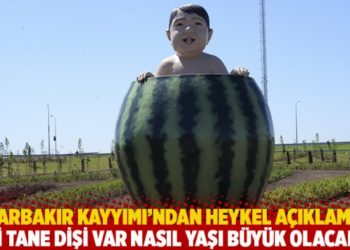 Diyarbakır Kayyımı'ndan heykel açıklaması: İki tane dişi var nasıl yaşı büyük olacak?