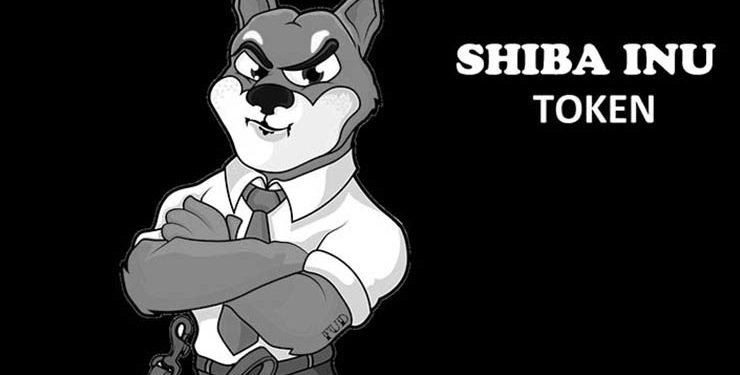 Dogecoin’in veliahtı olarak görülen SHIB Binance’de listelendi! İlk fiyatlama nasıl?