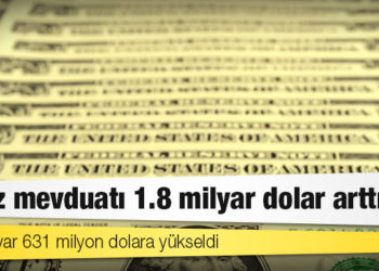 Döviz mevduatı 1.8 milyar dolar arttı