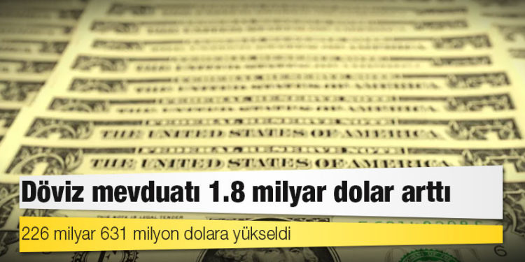 Döviz mevduatı 1.8 milyar dolar arttı