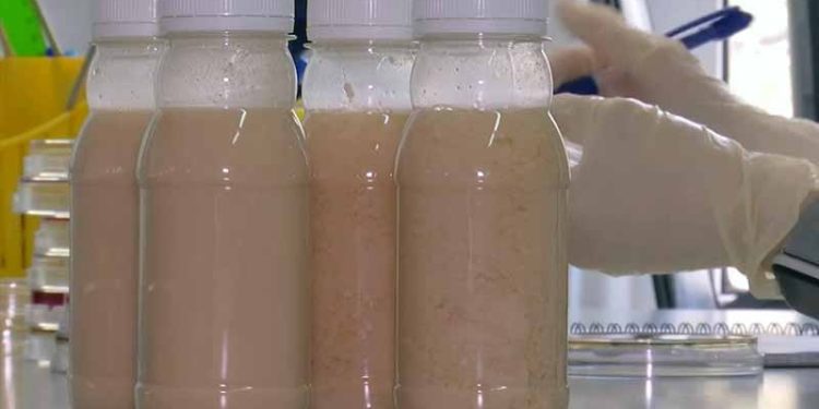 Dünyanın ilk yenilebilir Covid-19 aşısı: Yan etkisi yok, iğne yok ve lezzetli