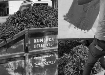 Halde ‘israfı gördük’: Çiftçi ürününü satamadı, tonlarcası çöpe atıldı