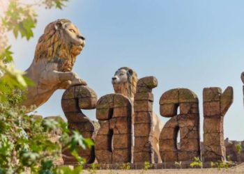 Hindistan'da iki aslanın Koronavirüs testi pozitif çıktı