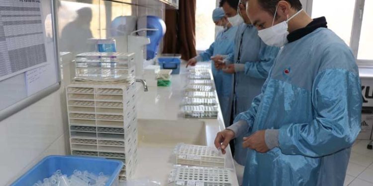 Kayseri'de geliştirilen aşının Faz-2'nin raporları Sağlık Bakanlığı’na teslim edildi