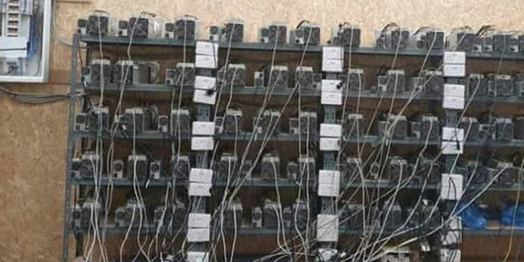 Kenevir üretildiği ihbarı üzerine baskın yapılan evde kripto para madeni çıktı