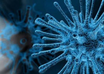 Korona'ya yakalanan her 100 kişiden ikisi hayatını kaybetti