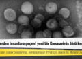 'Köpeklerden insanlara geçen' yeni bir Koronavirüs türü keşfedildi
