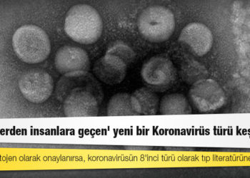 'Köpeklerden insanlara geçen' yeni bir Koronavirüs türü keşfedildi