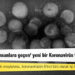 'Köpeklerden insanlara geçen' yeni bir Koronavirüs türü keşfedildi