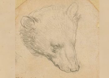 Leonardo Da Vinci'nin bir çizimi 12 milyon Sterlin'e satılması bekleniyor