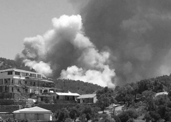 Muğla’da orman yangını