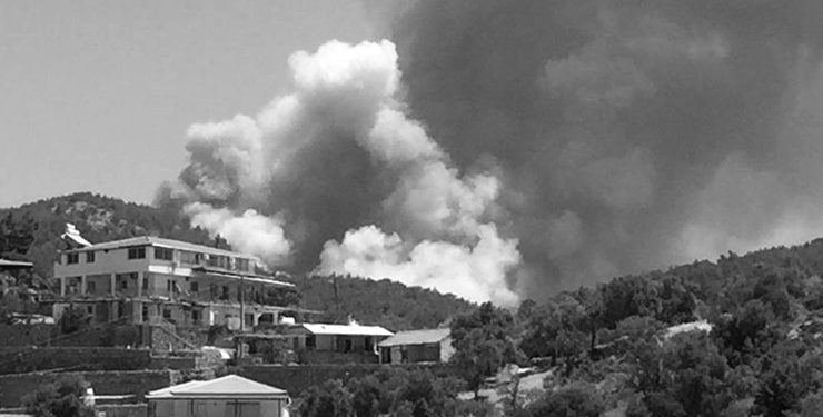 Muğla’da orman yangını