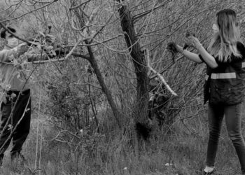 Otobüs bagajında bulunan 30 sincap doğaya bırakıldı