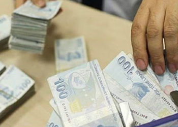 Pandemide Türkiye’de 85 bin 958 kişi milyoner oldu