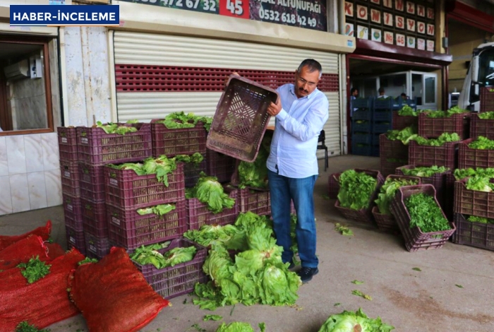 Plansız ‘kapanma’ çiftçiyi batırdı: Emekler çöp oldu