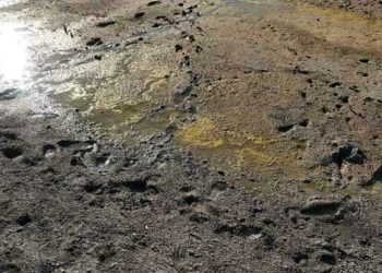 Salda’daki ‘renk değişimi’ mevsimselmiş