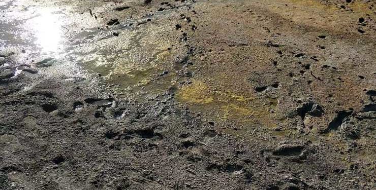 Salda’daki ‘renk değişimi’ mevsimselmiş