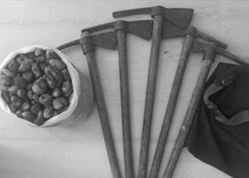 Salep soğanı toplayan beş kişiye 419 bin lira ceza