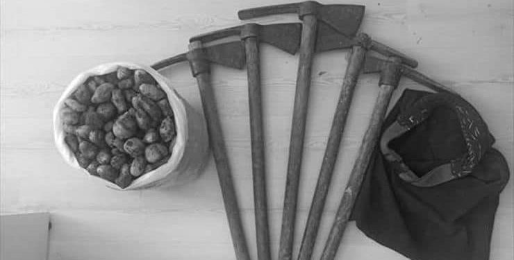 Salep soğanı toplayan beş kişiye 419 bin lira ceza