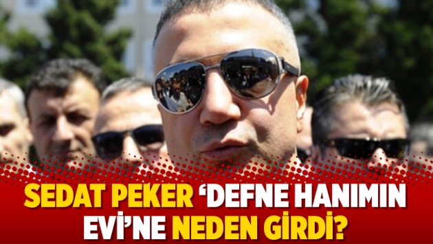 Sedat Peker ‘Defne hanımın evi’ne neden girdi?