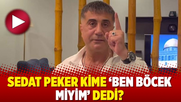 Sedat Peker kime ‘Ben böcek miyim’ dedi?