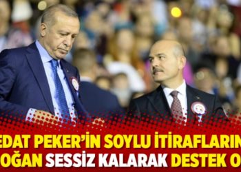 Sedat Peker’in Soylu itiraflarına Erdoğan sessiz kalarak destek oldu