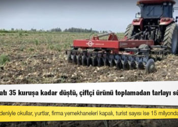 Soğan fiyatı 35 kuruşa kadar düştü, çiftçi ürünü toplamadan tarlayı sürüyor