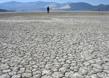 TZOB Genel Başkanı Bayraktar: Kuraklıktan etkilenen il sayısı 41'e çıktı, haziran yağışları da yetersiz olursa bu sayı daha da artacak