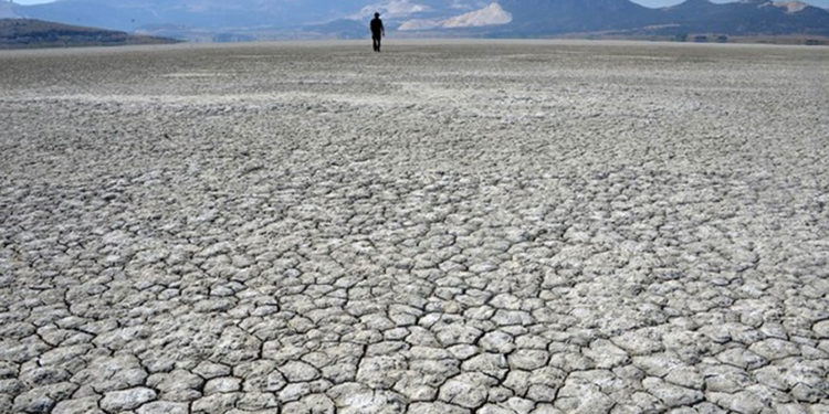 TZOB Genel Başkanı Bayraktar: Kuraklıktan etkilenen il sayısı 41'e çıktı, haziran yağışları da yetersiz olursa bu sayı daha da artacak