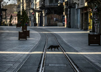 Tam kapanmanın ardından normalleşme nasıl olacak?