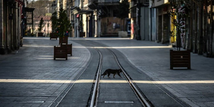 Tam kapanmanın ardından normalleşme nasıl olacak?