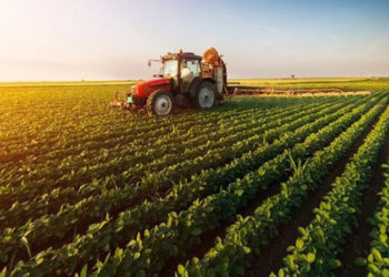 Tarımsal enflasyonda güncel veriler açıklandı: Gübre fiyatlarında yıllık artış yüzde 39