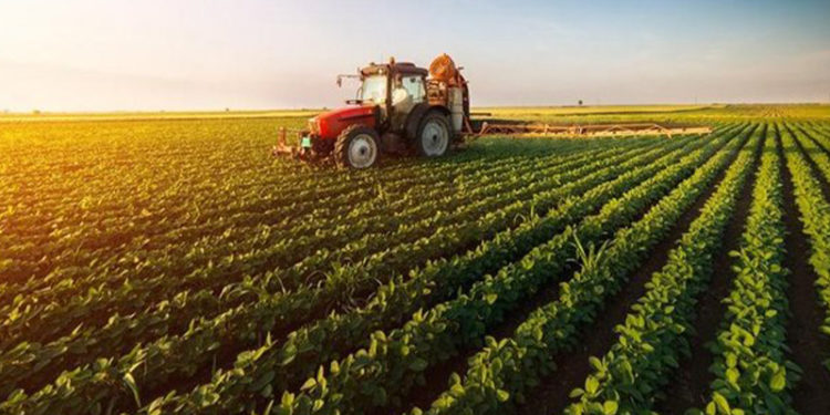 Tarımsal enflasyonda güncel veriler açıklandı: Gübre fiyatlarında yıllık artış yüzde 39