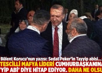 "Tescilli mafya lideri cumhurbaşkanına ‘Tayyip Abi’ diye hitap ediyor. Daha ne olsun!"
